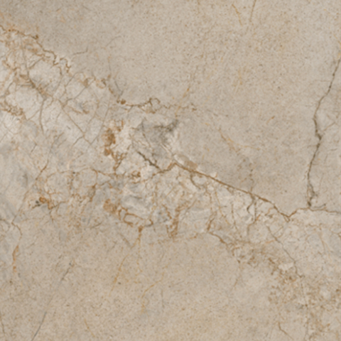 SILVER ROOT-21.B.612.2858